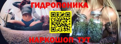 Альфа ПВП Пушкино
