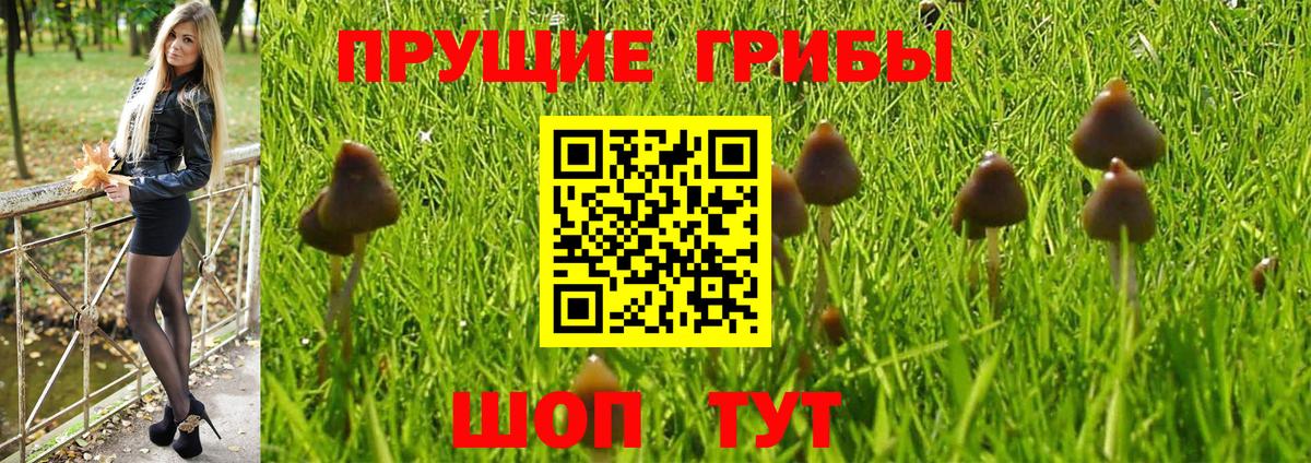Псилоцибиновые грибы MAGIC MUSHROOMS Ростов Великий