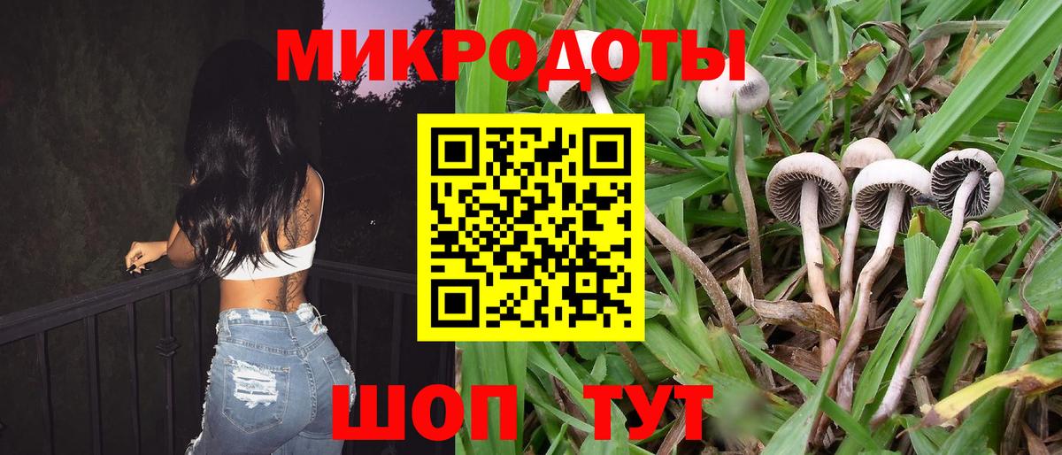Ростов Великий  Галлюциногенные грибы GOLDEN TEACHER  Вход с VPN  Псилоцибиновые грибы Psilocybine cubensis 
